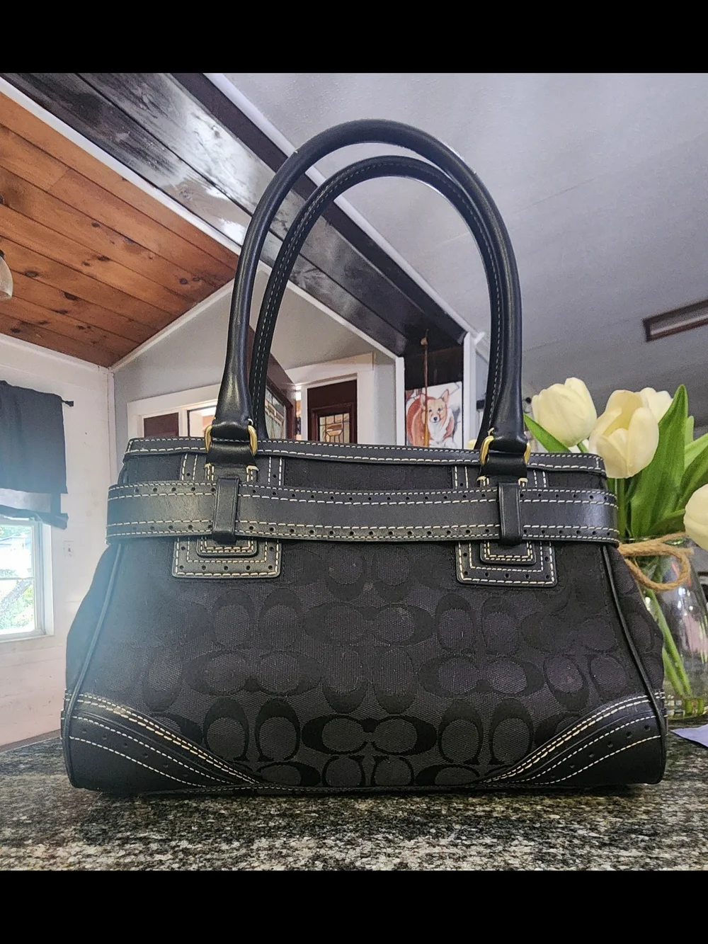 Coach Hampton Signature with Gold Horsebit Hardware & Accent Belt